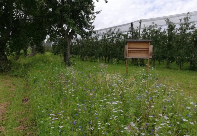 Quelle: Flächenagentur Baden-Württemberg