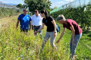 Landwirtschaftsminister Peter Hauk besucht Obstbau-Modellanlagen zur Förderung der Biologischen Vielfalt